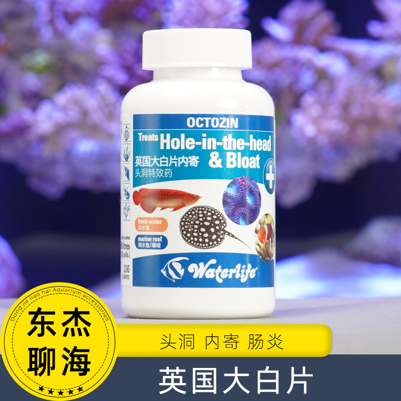 正品英国大白片鱼用内外寄海水鱼肠炎去菌头洞腹水消毒剂水族珊瑚