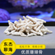 珊瑚骨水族用碱性滤材适合热带鱼海缸钙反多孔结构稳定硝化系统