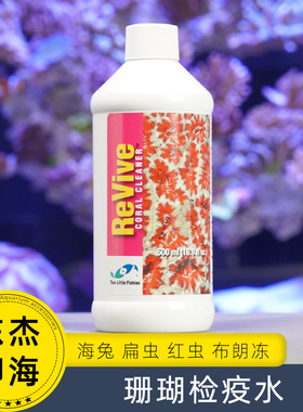 珊瑚检疫水两只小鱼SPS扁虫红虫海兔海蜘蛛杀虫珊瑚入缸前除虫用