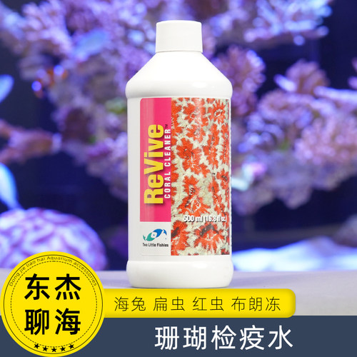 两只小鱼检疫水珊瑚除虫