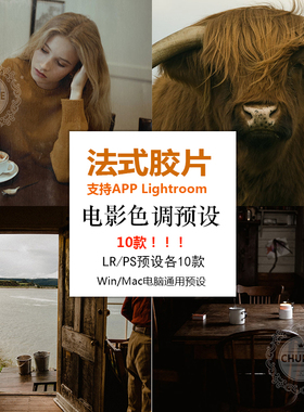 法式胶片电影复古LR/PS/ACR预设人像静物怀旧lightroom预设M105