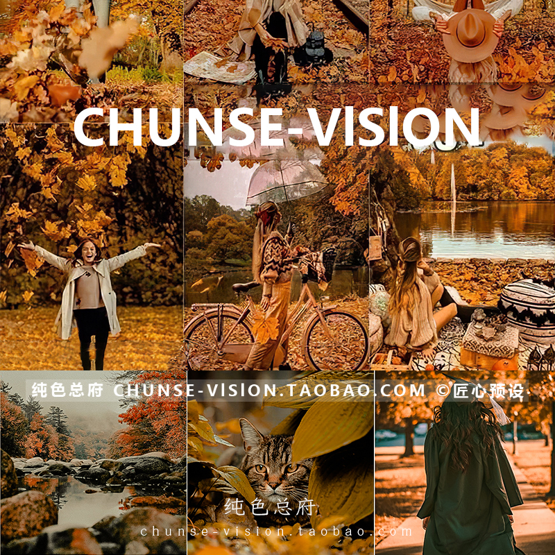 ins秋季红棕暖调复古lightroom预设手机LR/PS/AE/VN/PR/LUT滤镜