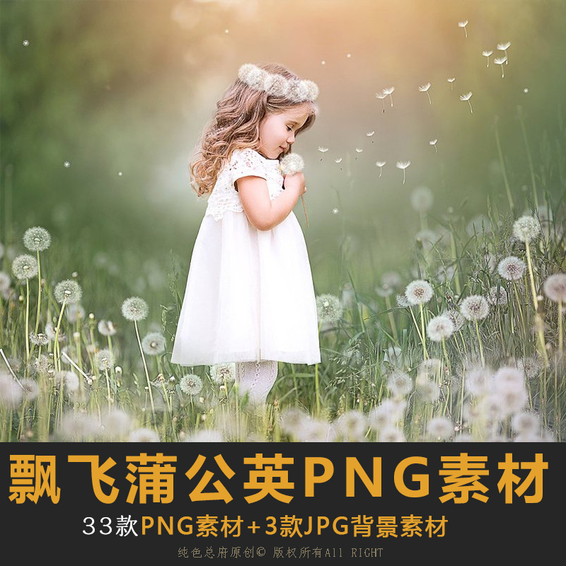 飘飞蒲公英PNG图片背景前景人像摄影儿童梦幻效果PS修图合成素材