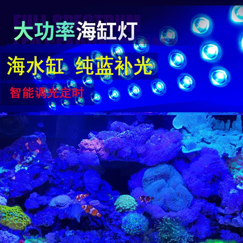 補光燈海缸燈萬景豐廠家