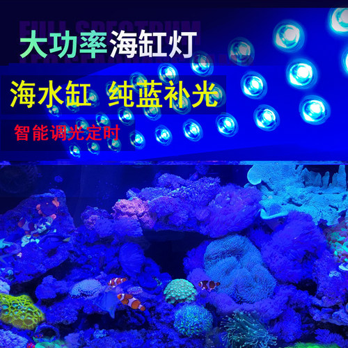 补光灯海缸灯万景丰厂家