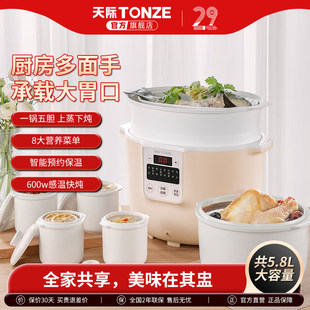 天际官方正品陶瓷隔水炖5胆煲汤家用全自动大容量4L升电炖锅餐厅