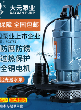 大元潜水泵 水井增压抽水泵 高扬程大流量农用井用灌溉泵家用220V