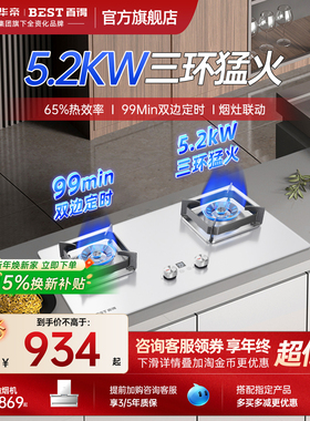 新品白色华帝百得燃气灶台双灶煤气灶家用QE76定时猛火灶具嵌入式