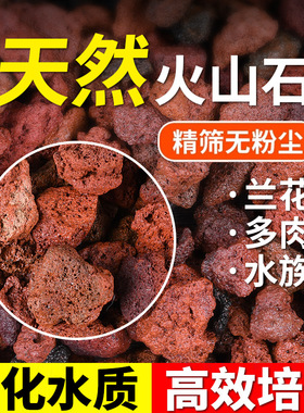 天然火山石红色火山岩颗粒水族鱼缸石材料过滤水垫底造景多肉铺面