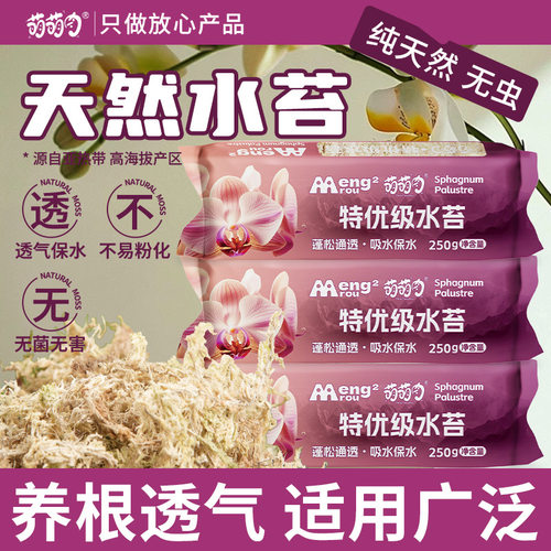 天然水苔植物种植高保水透气营养基质乌龟蛇爬虫垫材松软不易腐败