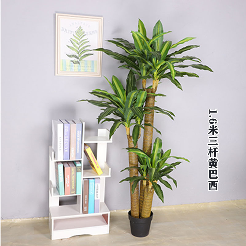 落地巴西铁塑料sai冠现代绿植