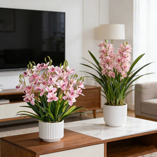 高端5叉蕙兰仿真花兰花蝴蝶兰盆栽客厅电视柜玄关桌面摆设新中式