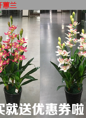 客厅仿真花假花蕙兰仿真植物树绿植盆栽室内居家客厅摆件装饰盆景
