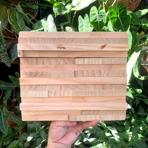 鹿角蕨热植板植物挂板