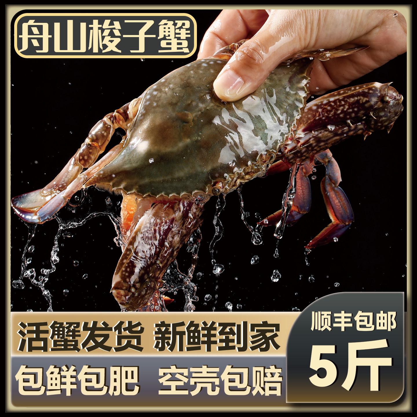 【保鲜不保活】梭子蟹舟山野生特大活螃蟹新鲜海鲜水产海蟹飞蟹