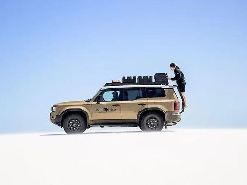 适用于丰田 LC250 雷克萨斯 GX550 南非frontrunner领跑者 后爬梯