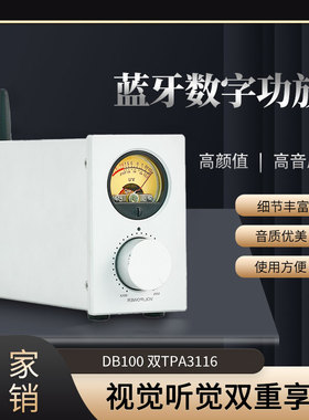 DB100 TPA3116双核心蓝牙5.1数字功放机100W+100W