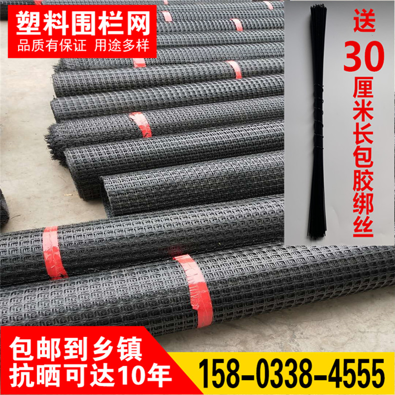 塑料养殖网养鸡围栏网防护网拦鸡网塑料网栅栏黑色胶网育雏漏粪网