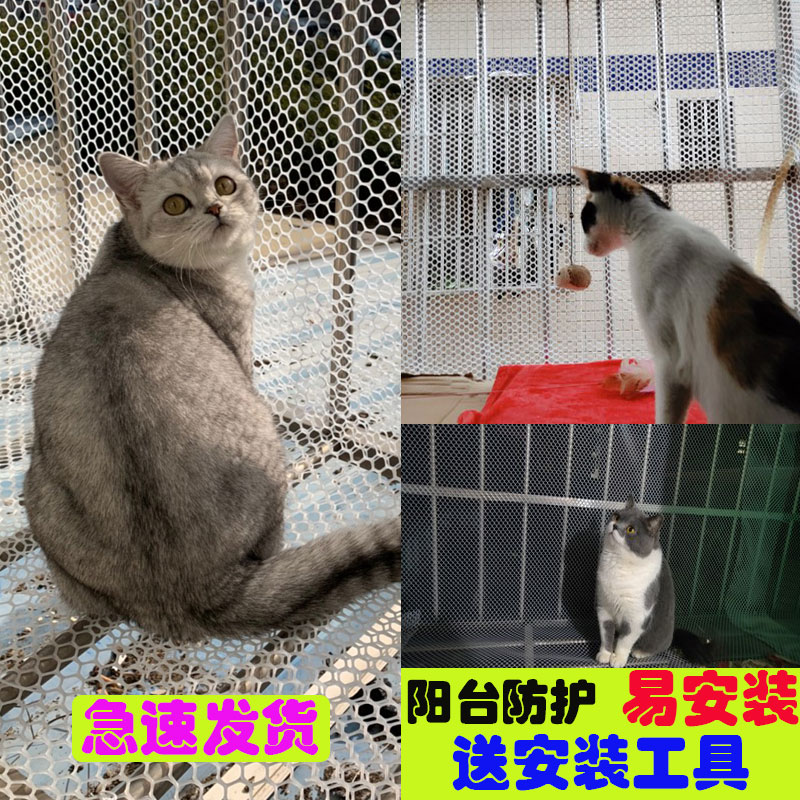 育雏网养鸡养殖塑料网格阳台防护网自装猫网塑料窗台垫板封窗网片