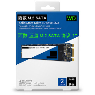 WD/西部数据 西数蓝盘 SATA 1T M.2 SATA协议2T 2TB固态硬盘BLUE