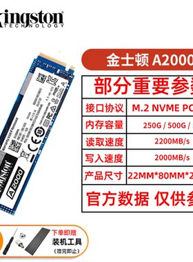 Kingston/金士顿A2000固态硬盘
