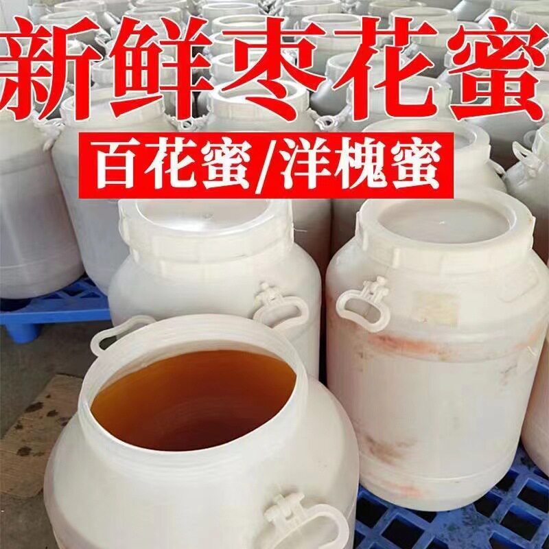 散装自产洋槐枣花成熟蜂蜜工厂