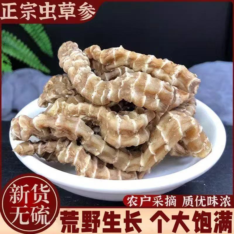 云南虫草参地参干中药材新鲜干货