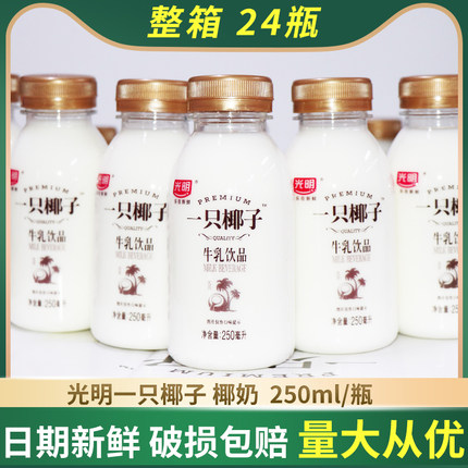 光明一只椰子椰奶汁饮料生牛乳牛奶饮品瓶装250ml*24瓶整箱