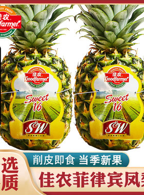 佳农菲律宾进口凤梨2个