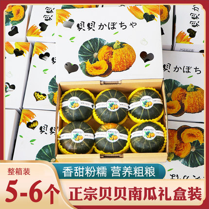 正宗贝贝南瓜礼盒装 辅食迷你小南瓜板栗味粉糯香甜新鲜包邮