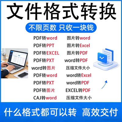 文件格式转换格式排版处理修改PDF互转word/excel/PPTofd人工代转