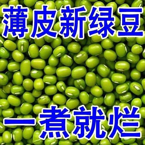 农家薄皮小绿豆易出沙