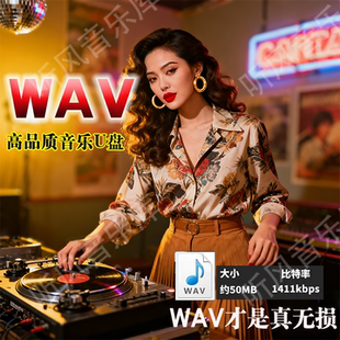 WAV无损音质车载音乐U盘经典怀旧老歌流行热门网络新歌DJ伤感情歌