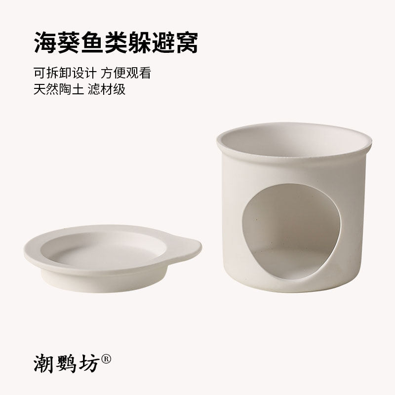 海葵窝迷你鹦鹉繁殖拆卸方便观察图片