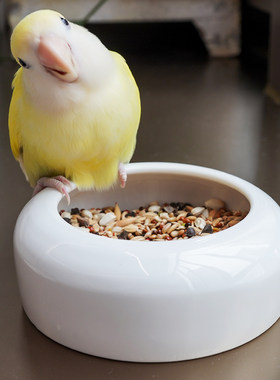 防撒牡丹旋风鹦鹉食盒