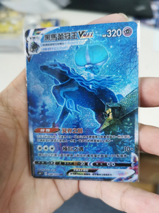 【天之都】ptcg繁中黑马蕾冠王vmax手绘hr宠物小精灵卡牌定制diy