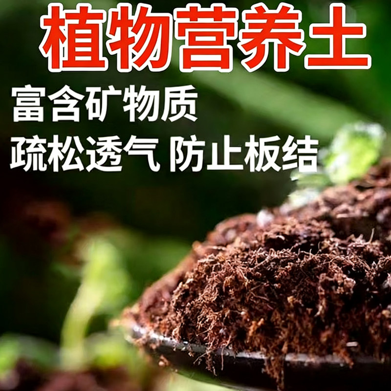 营养土天然土壤种植土多肉土花土通用进口椰砖土壤基质养花专用土