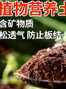 营养土天然土壤种植土多肉土花土通用进口椰砖土壤基质养花专用土