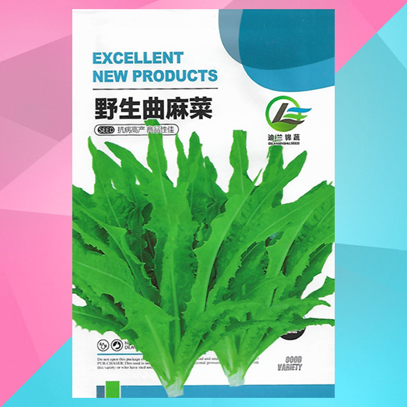 曲麻菜种籽蔬菜种子苦苦菜籽菜种籽四季苦菜野菜苦荬菜苦麻菜种子