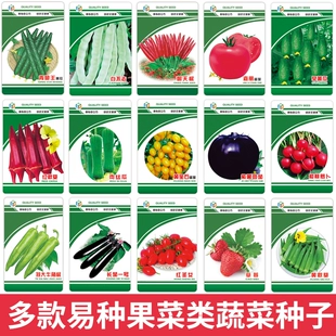 蔬菜种孑四季 水果黄瓜西瓜西红柿茄子辣椒种子葫芦冬瓜豆角南瓜籽