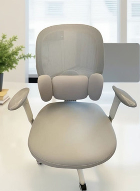 定制X19Y人体工学椅子套罩星芒弹力四季通用办公家用转椅座防刮抓