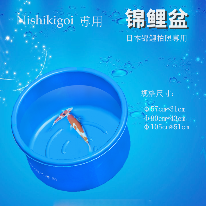 加厚锦鲤盆 圆盆 蓝盆 拍照盆 量鱼盆 暂养盆 直播盆 拍卖周转盆