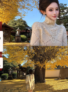 viola【冰晶雪花】e*s蕾丝之王私服1w定制对版yb蕾丝重工毛衣