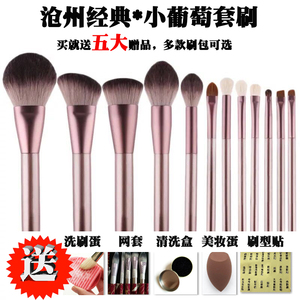 12支受受 小 狼小葡萄化妆刷套装超软 郎刷眼影刷魅女 沧州原产地