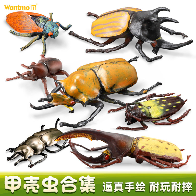儿童仿真昆虫动物玩具模型甲壳虫独角仙大兜虫天牛盾蝽幼儿园科教