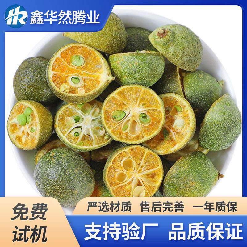 小柑橘山楂低温冷冻干燥设备草莓芒果片柠檬片大型低温真空冻干机