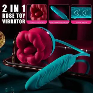 Vibrator Insert Clitoris Stimulator Women For