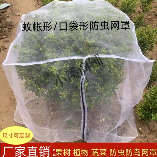 防虫网罩莲雾樱桃杨梅蓝莓果树防鸟防果蝇防蚊袋透气透光抗老化