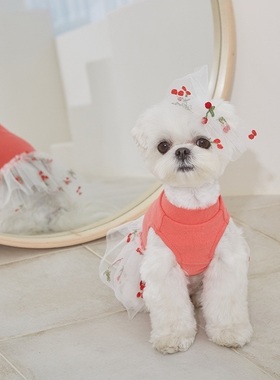 现货 胸34韩国Chole colin狗狗猫咪可爱蕾丝连衣裙衣服比熊泰迪