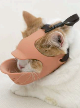 (现货)OPPO日本设计quack face猫咪面罩式口罩宠物致